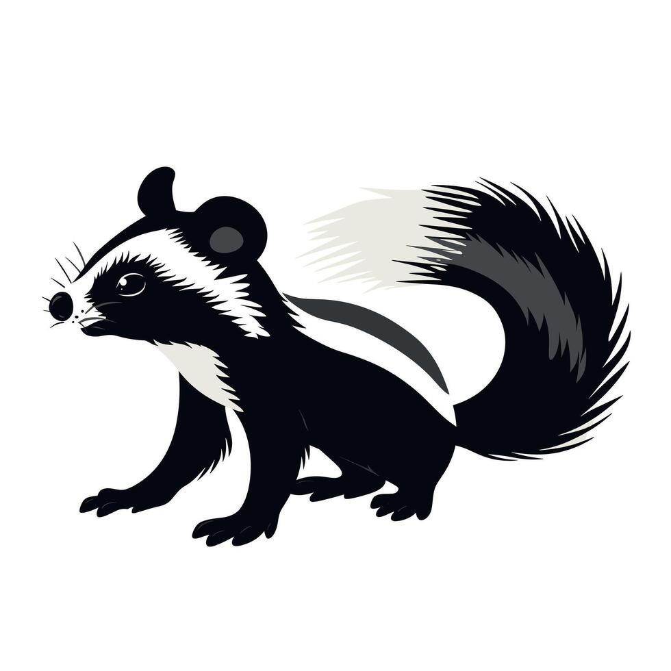 Illustration of a black and white animal with bushy tail and distinct markings vector