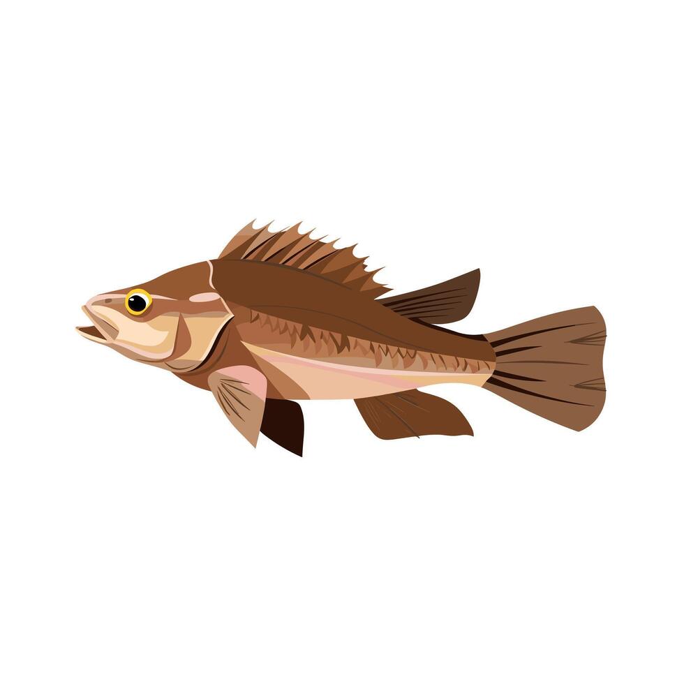 Brown fish swimming in clear water showcasing its vibrant fins and scales vector