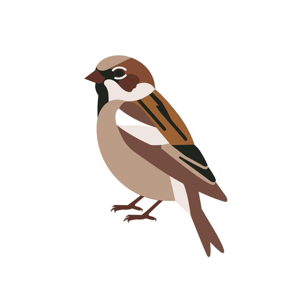 Sparrows resting peacefully on a branch during a sunny day in the park vector