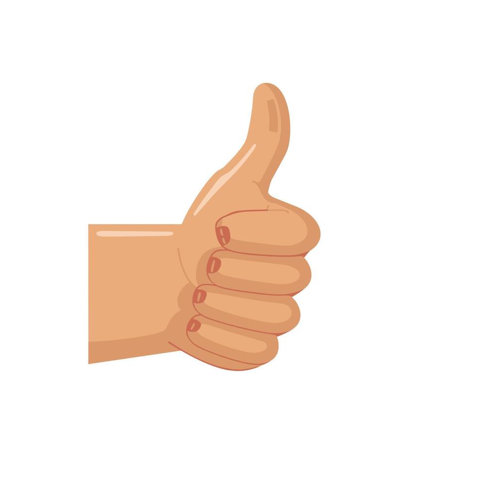 Hand shows thumbs up gesture expressing approval and positivity in a minimalist design vector