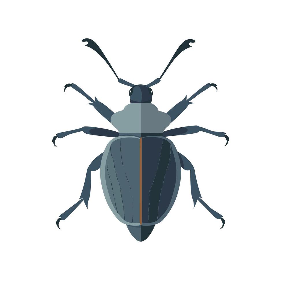 Detailed illustration of a beetle showcasing its unique features and colors vector