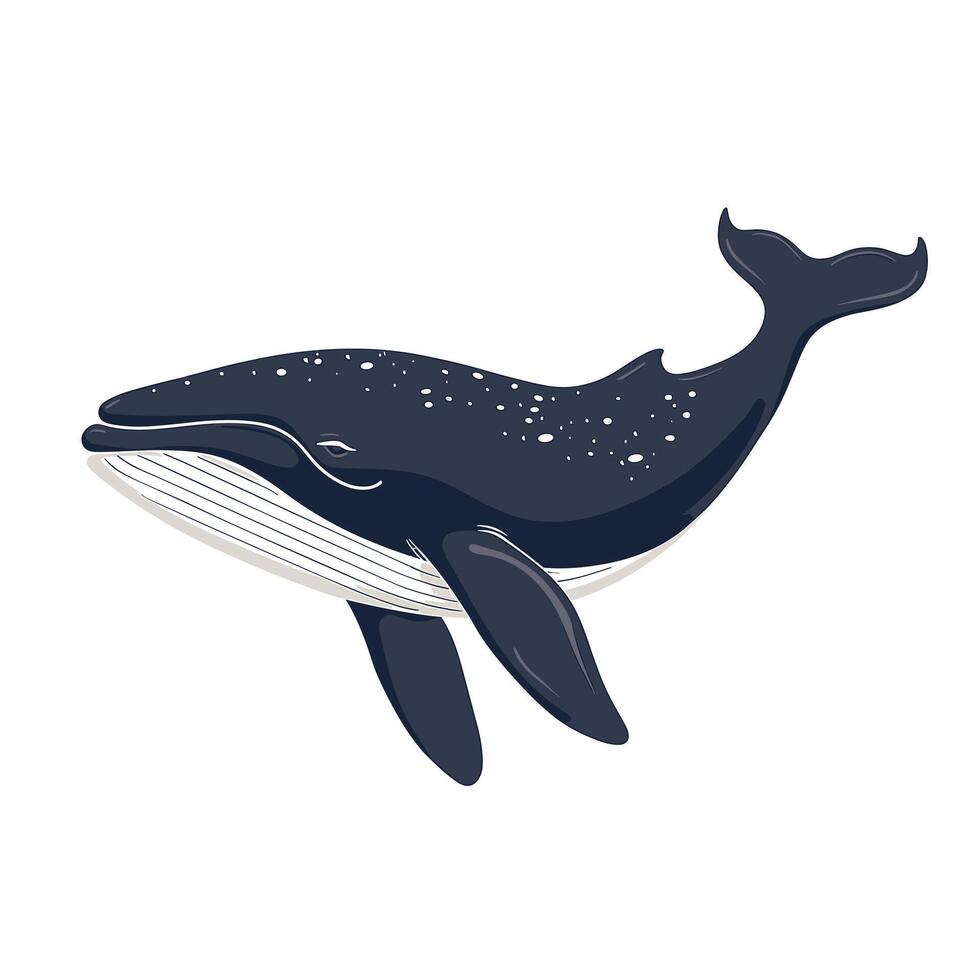 Whale swimming gracefully in clear ocean waters under bright sunlight vector