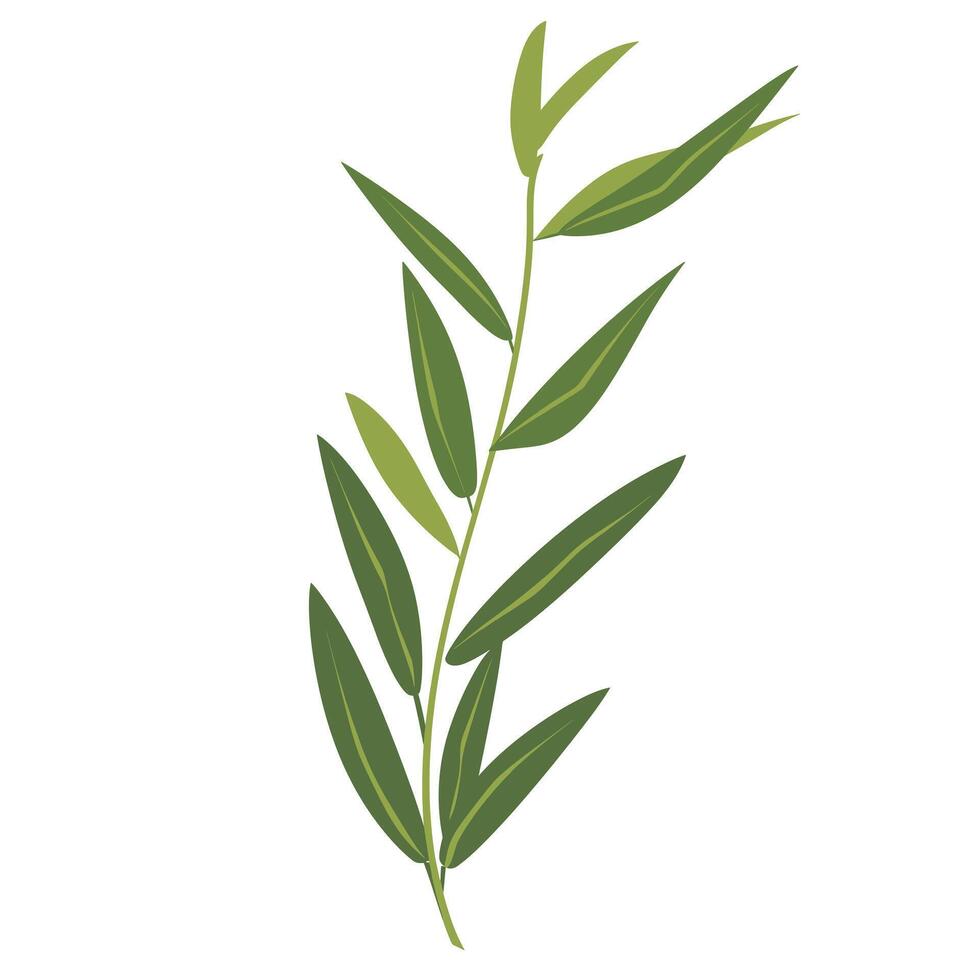 Green leaf branch with elongated leaves showcasing natural beauty in a minimalist style vector