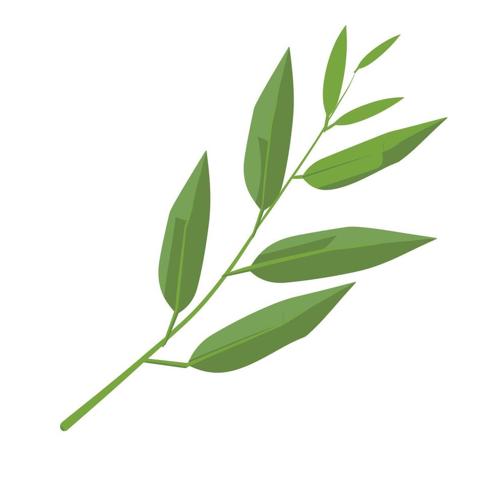 Green leafy branch with multiple leaves showcasing natural beauty and simplicity vector