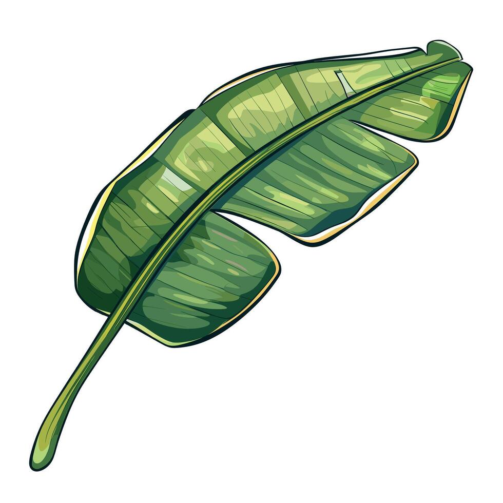 Bright green banana leaf showcasing detailed textures and vibrant coloration in a natural setting vector