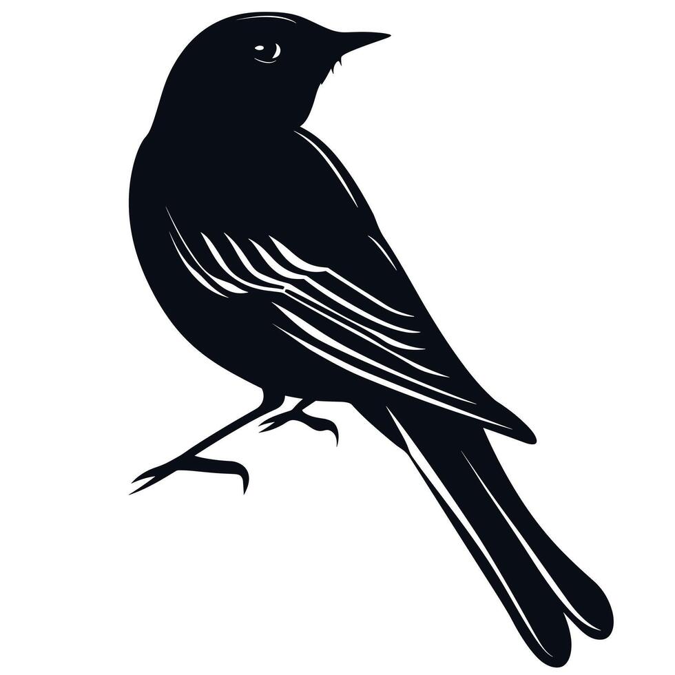 Bird perched quietly on a branch in a natural habitat during daylight hours vector