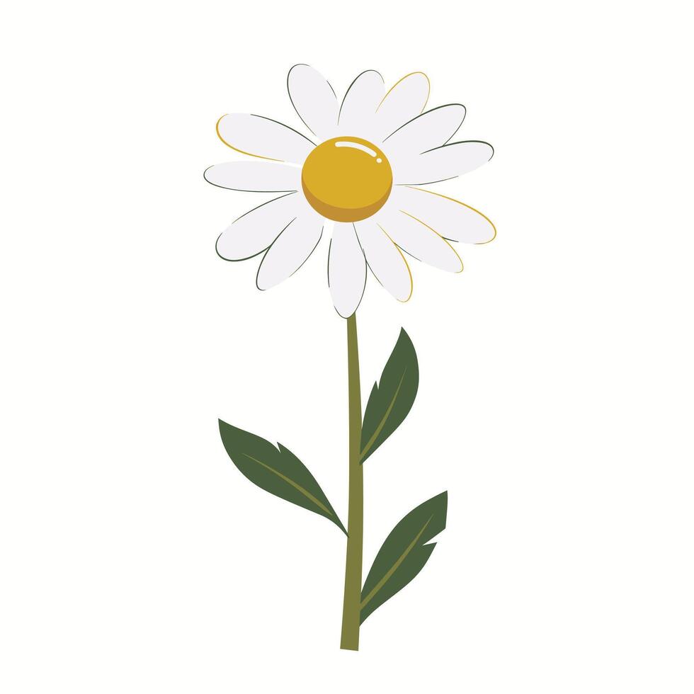 Bright and cheerful daisy blooming in springtime garden vector