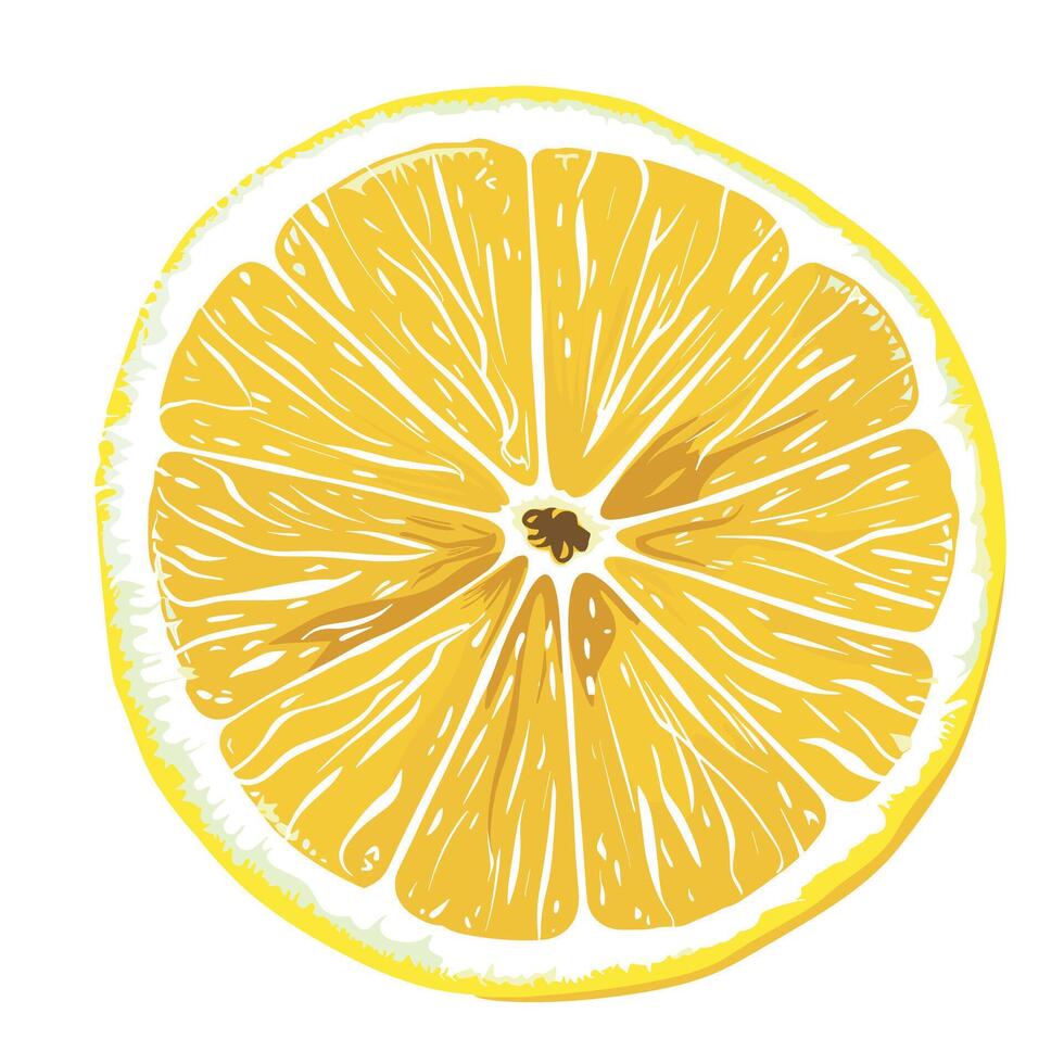 Vibrant and fresh lemon slice showcasing its juicy texture and bright color vector