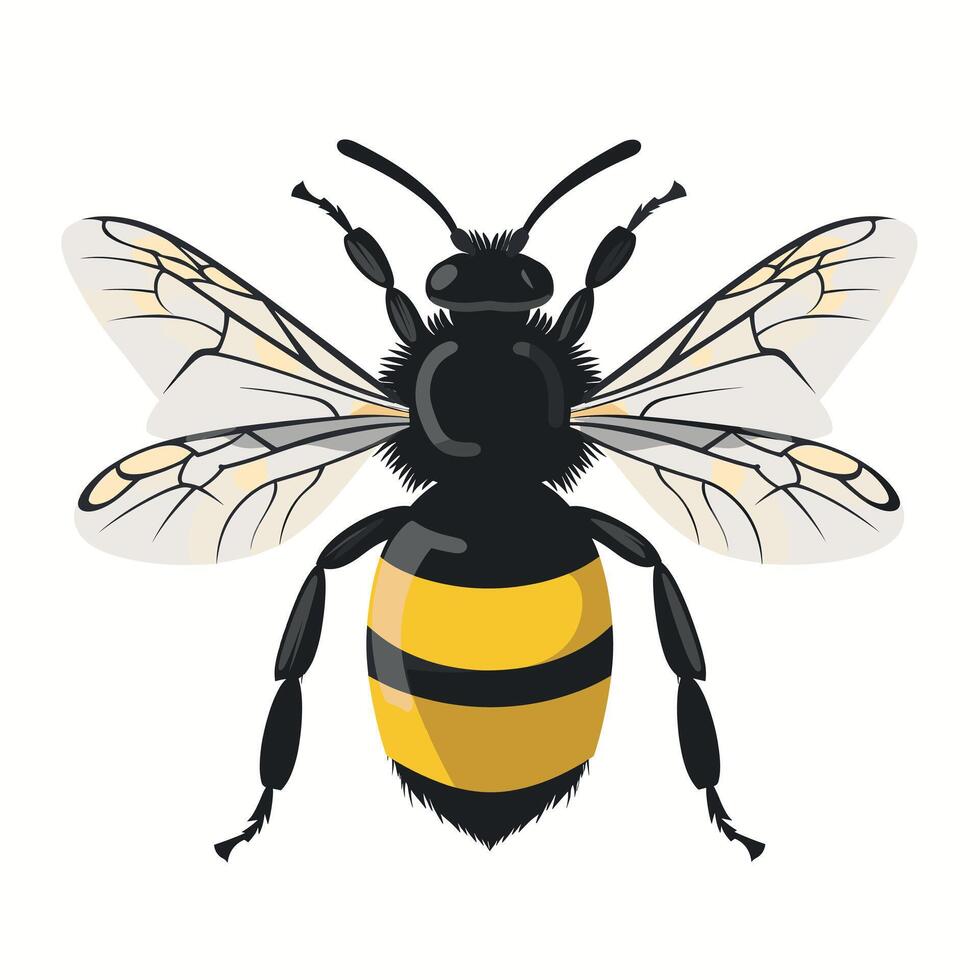 Bee resting on a flower during a sunny day in a garden vector