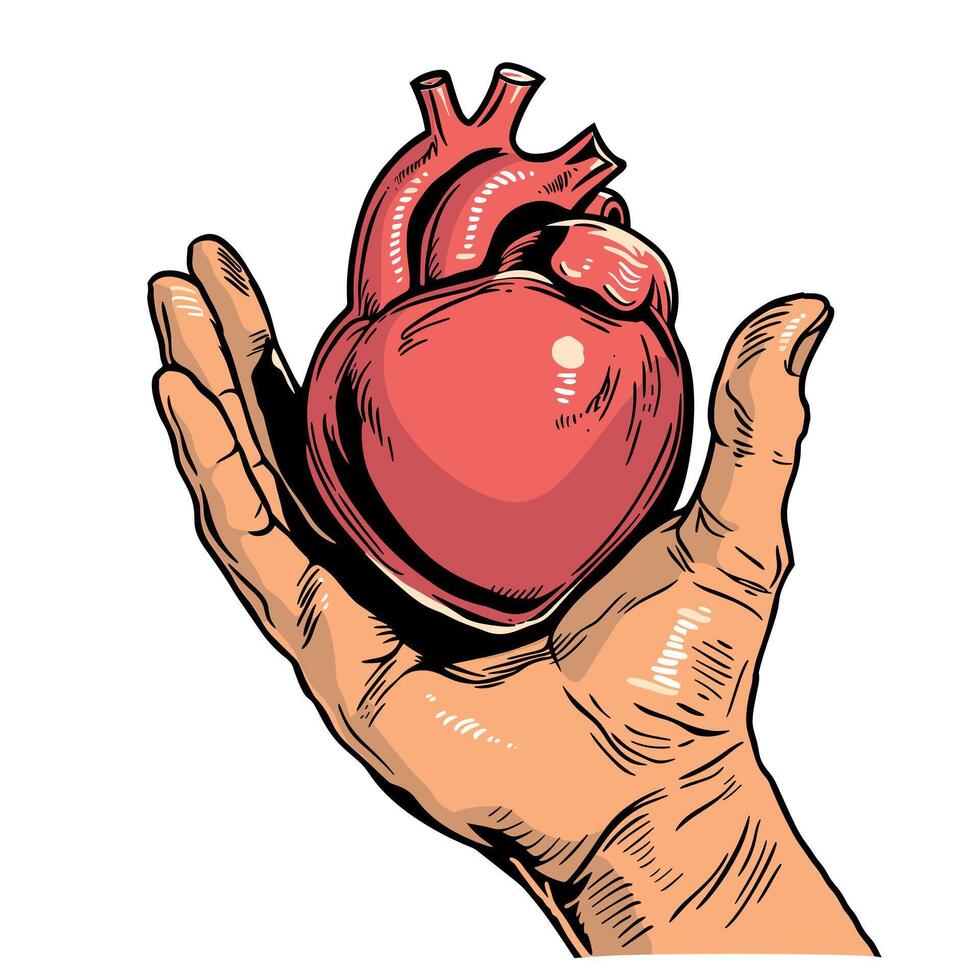 Illustrative heart held in hand symbolizing health and life awareness vector
