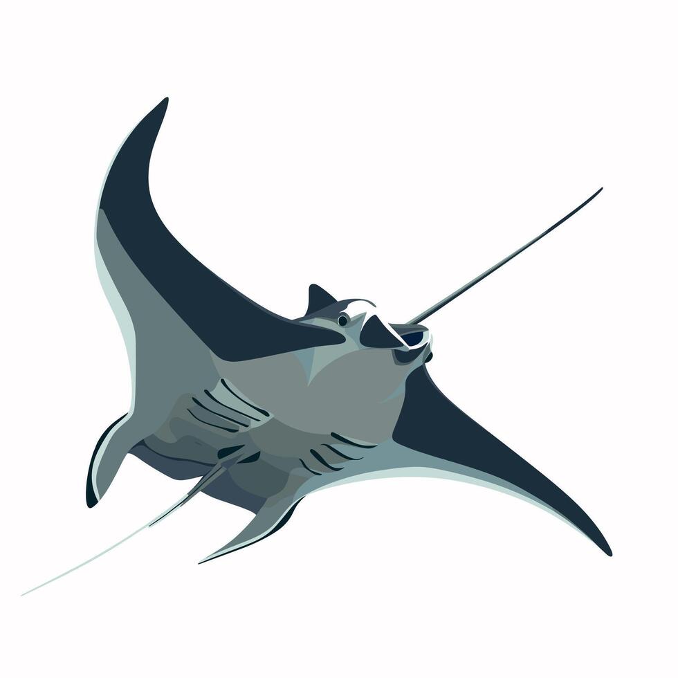 Manta ray gliding gracefully through the ocean waters near a coral reef at midday vector