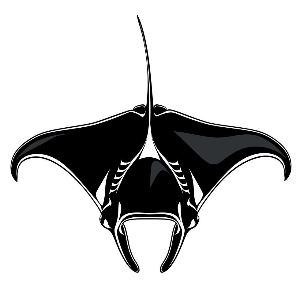 Manta ray illustration features dynamic lines and shapes in black and white style vector