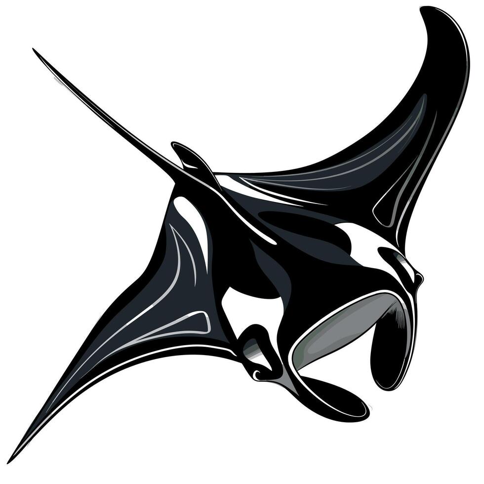Manta ray gliding gracefully through the ocean waters vector