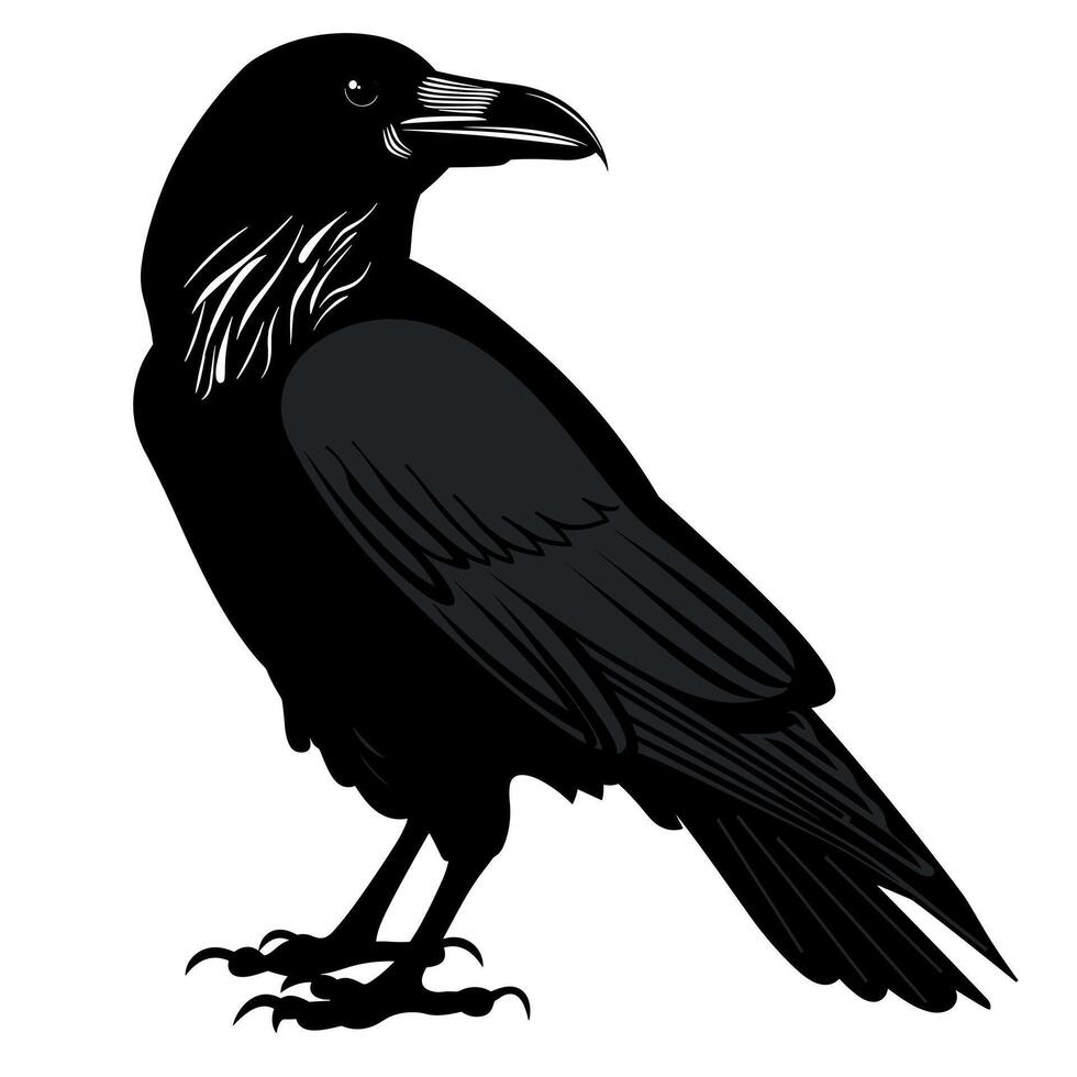 Black raven stands proudly atop a branch in a dense forest during twilight hours vector