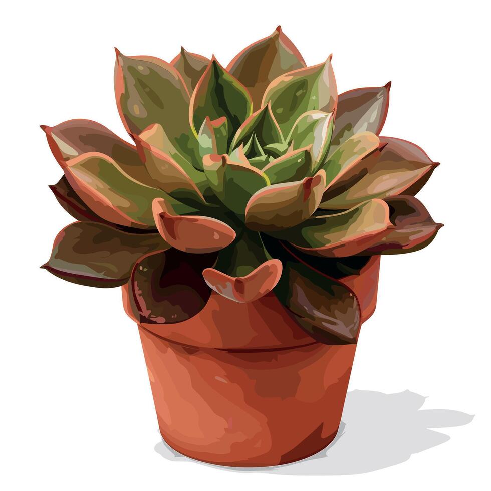 Succulent plant in a terracotta pot placed on a flat surface indoors vector