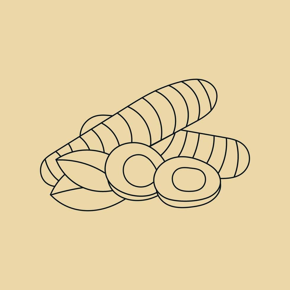 Illustration line sketch turmeric spice unique design vector