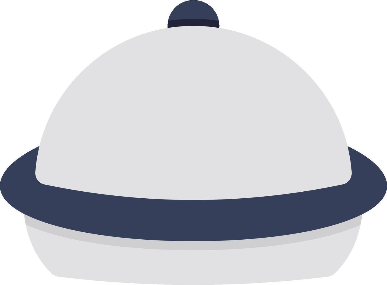 A white hat with a blue band on it vector