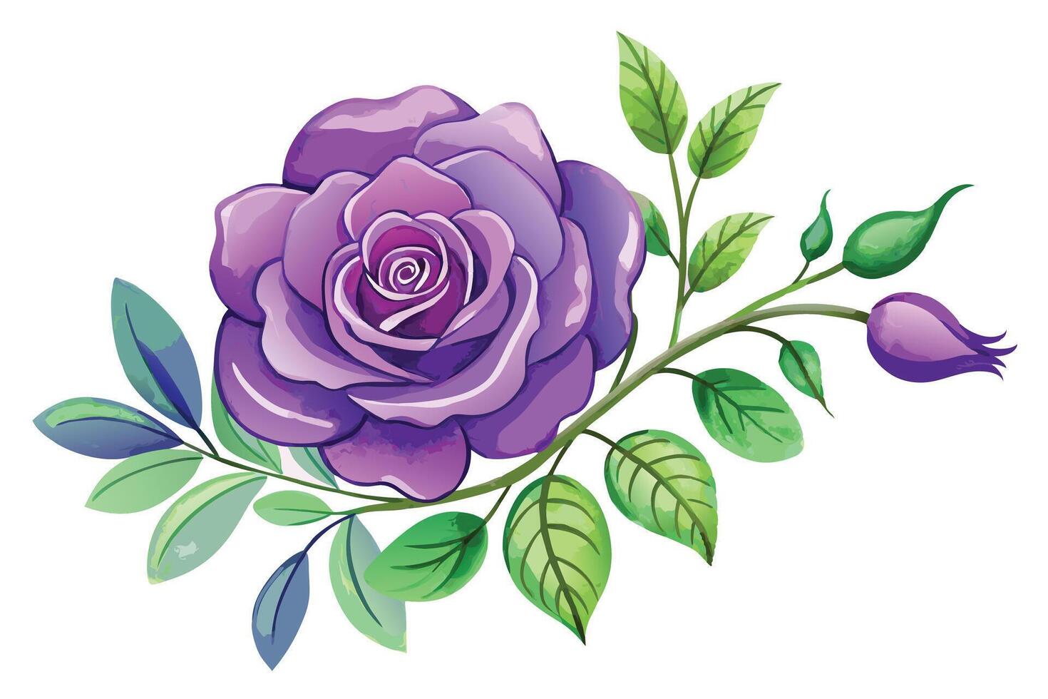 A purple rose with leaves and flowers on a white background vector