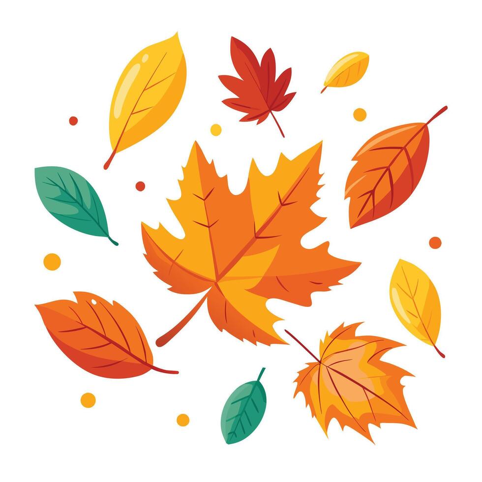 Autumn leaves illustration vector