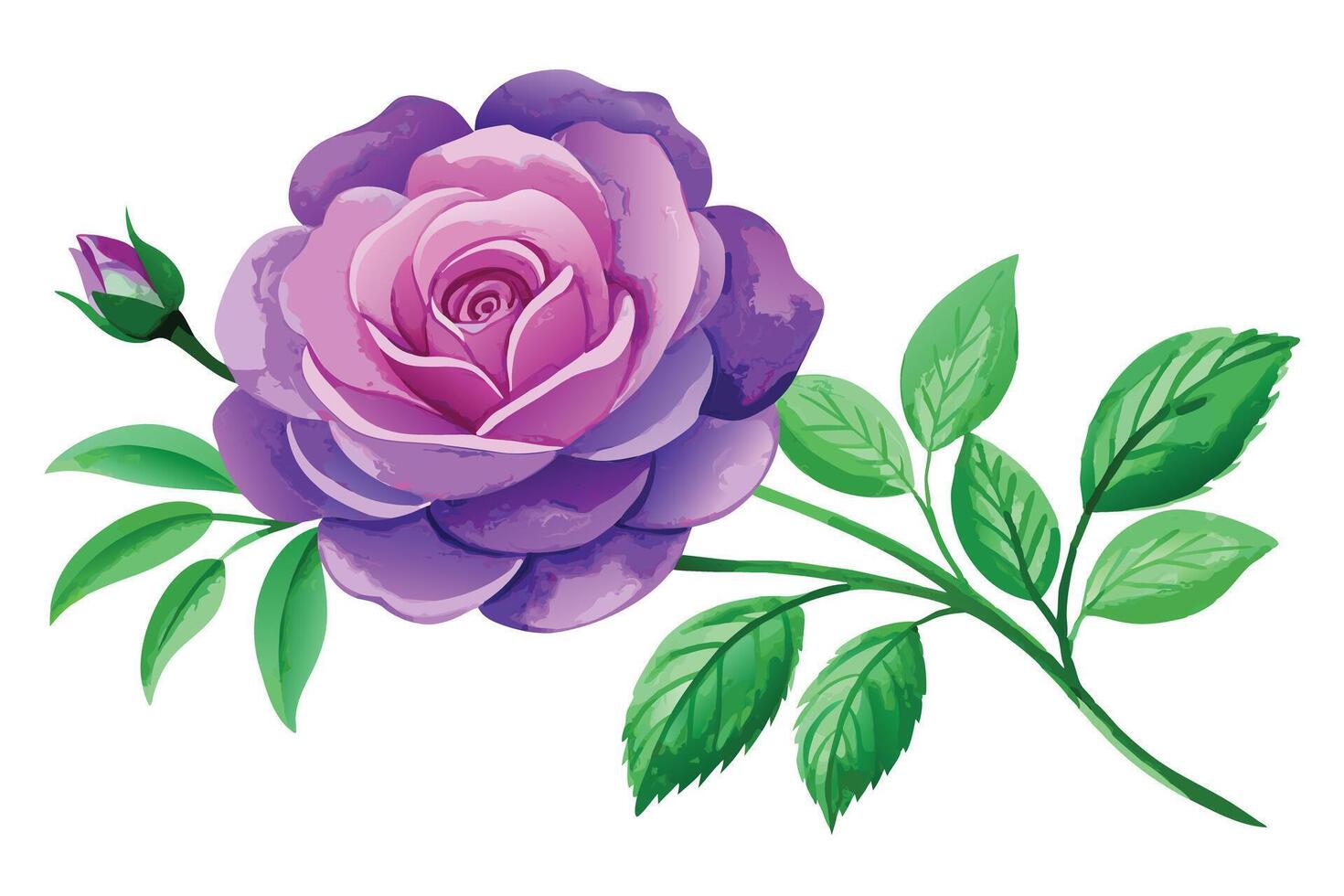 A purple rose with green leaves on a white background vector