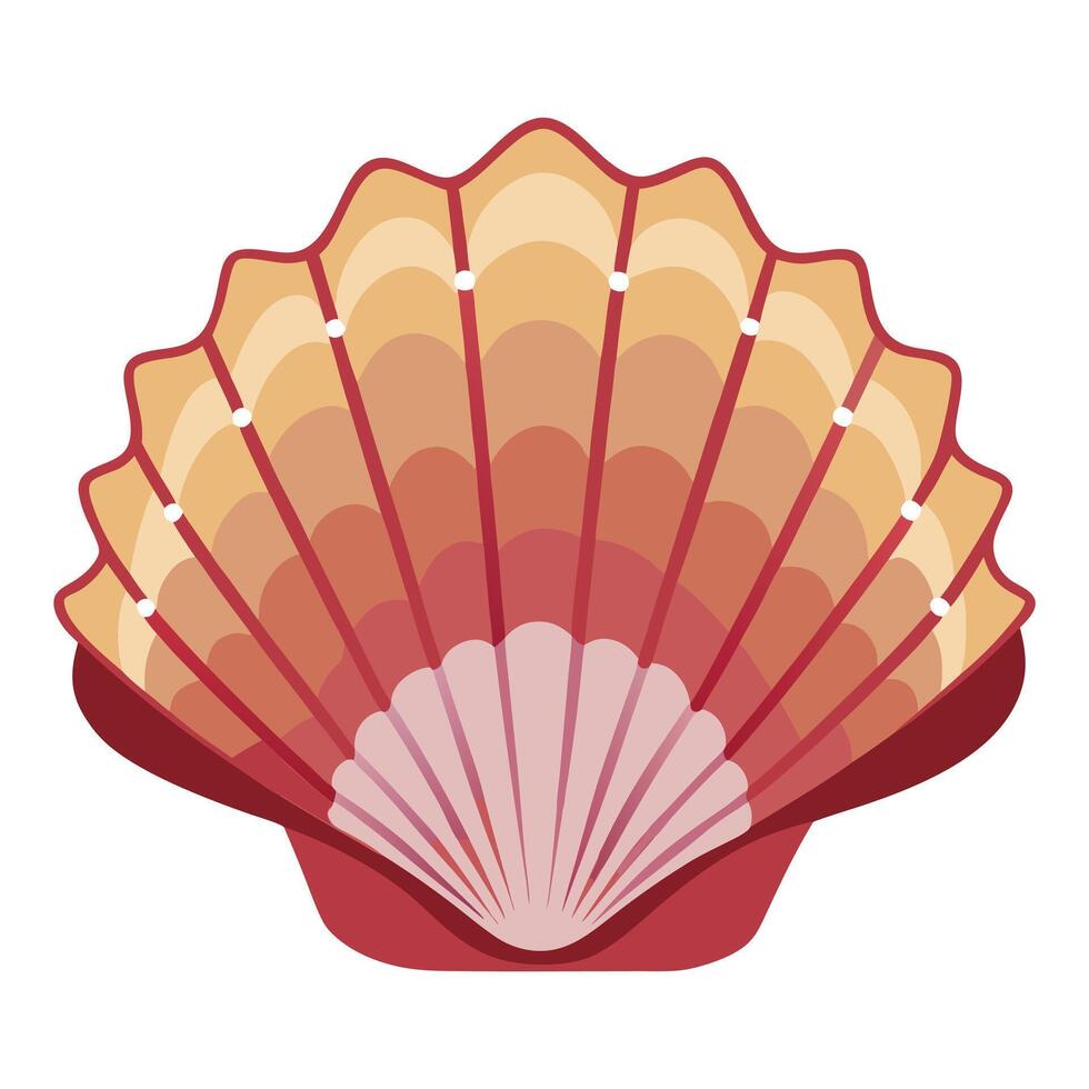 A red and orange shell on a white background vector