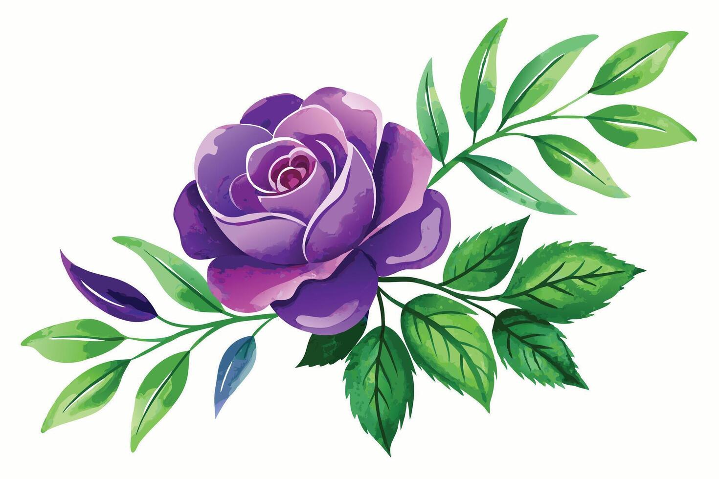 A purple rose with green leaves is shown vector