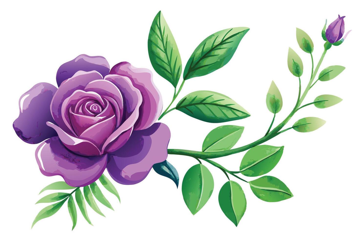 A purple rose with leaves and a stem vector