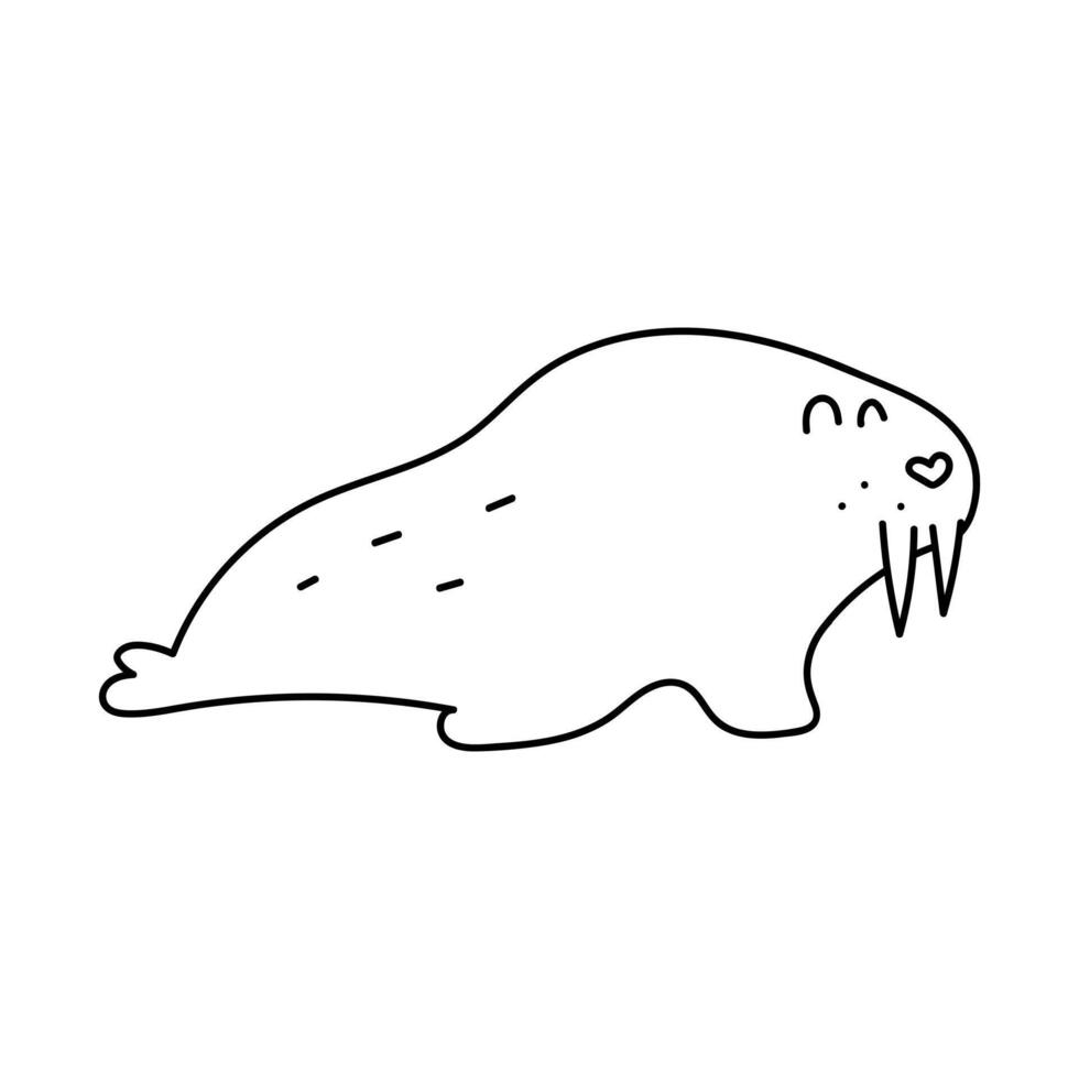 Walrus. Outline illustration on white background. vector