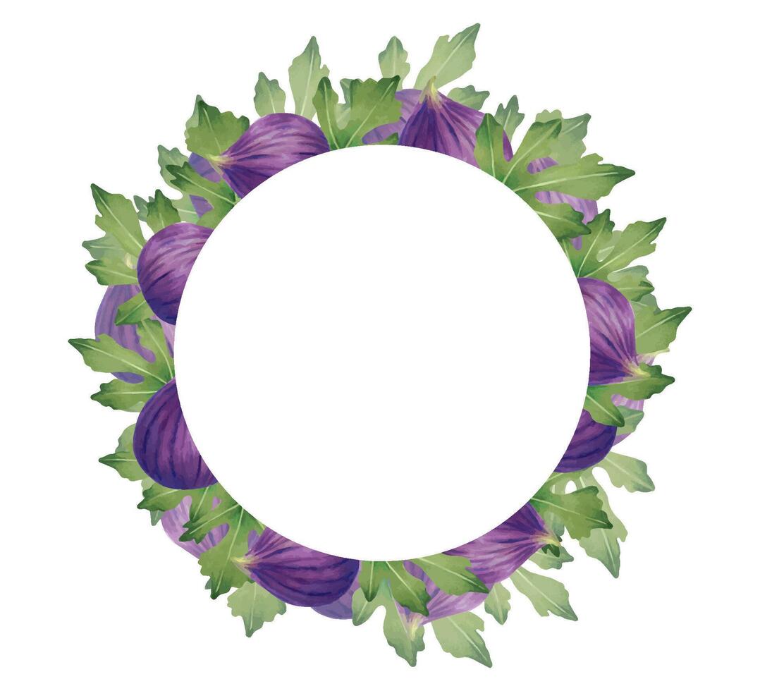 Fruit round fig wreath or frame. Botanical wreath of purple berries with leaves. Illustration with watercolor and marker. Hand drawn isolated clipart. Suitable for covers, packaging, labels, menus vector