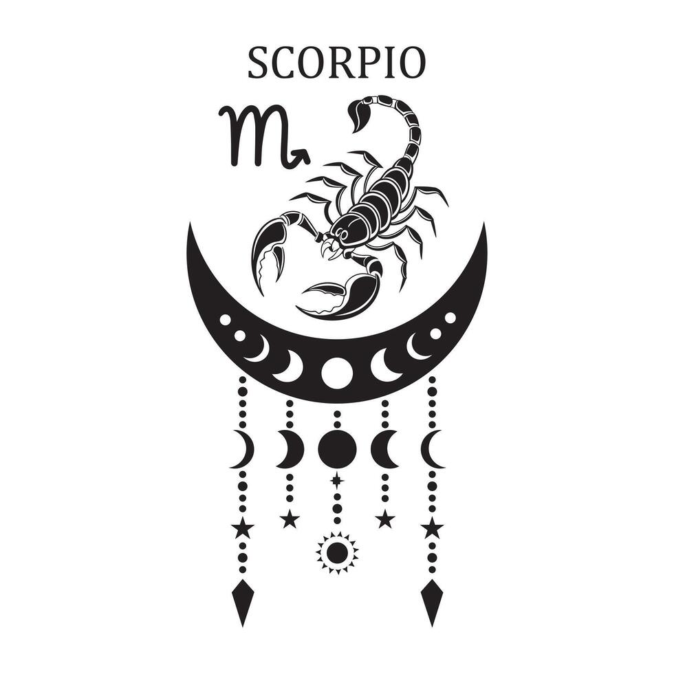 Astrological Alignment Signs of the Stars vector