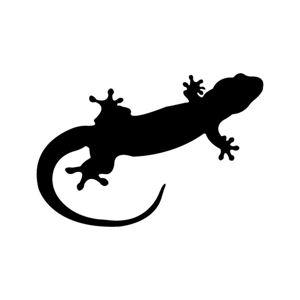 minimalist black and white lizard design vector
