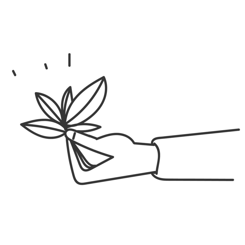 hand holding a plant line drawing vector
