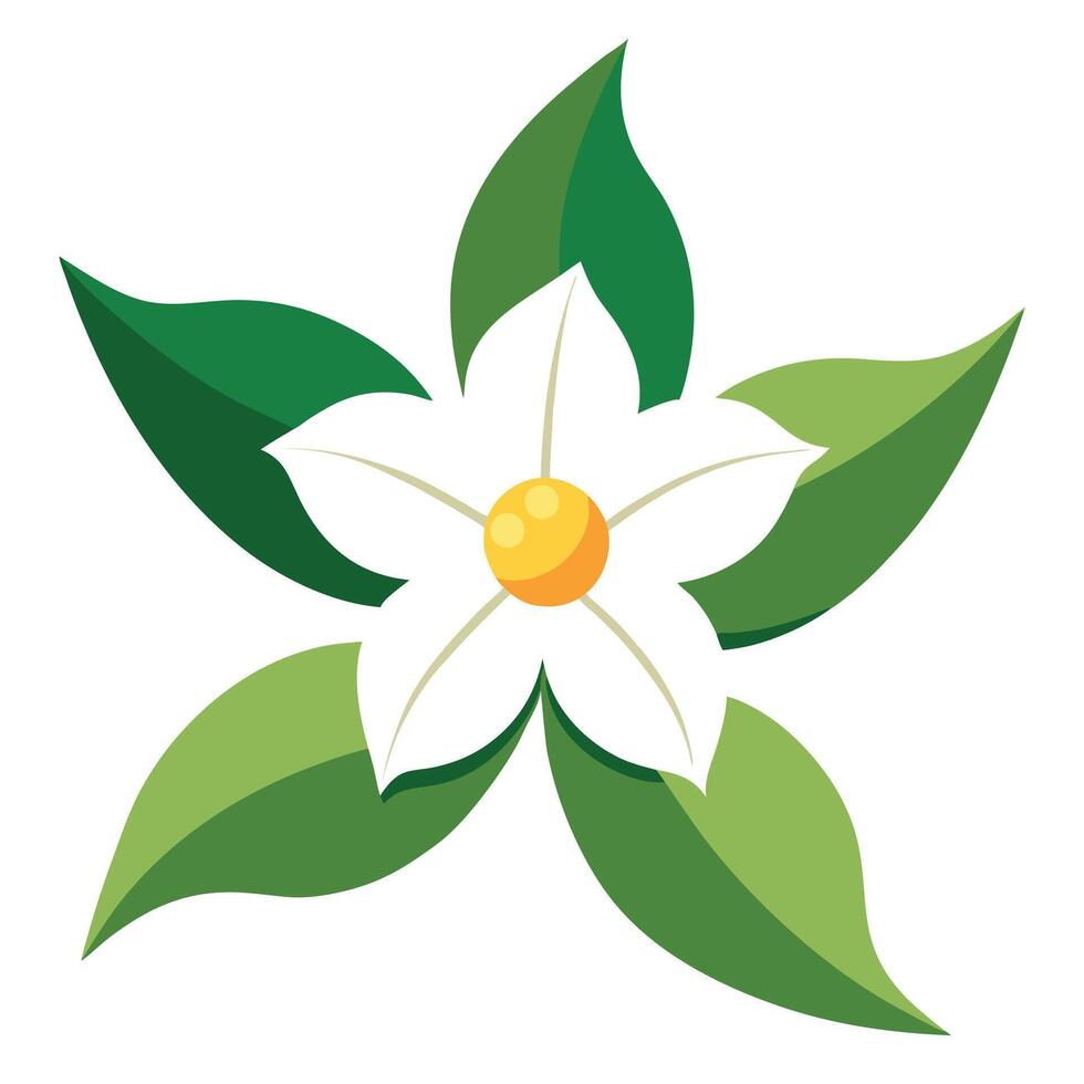 A white flower with green leaves on a white background vector