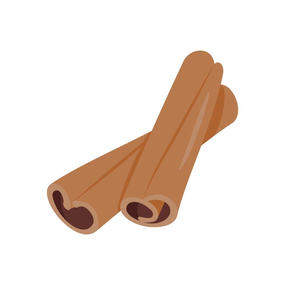 Cinnamon, Kitchen illustration vector