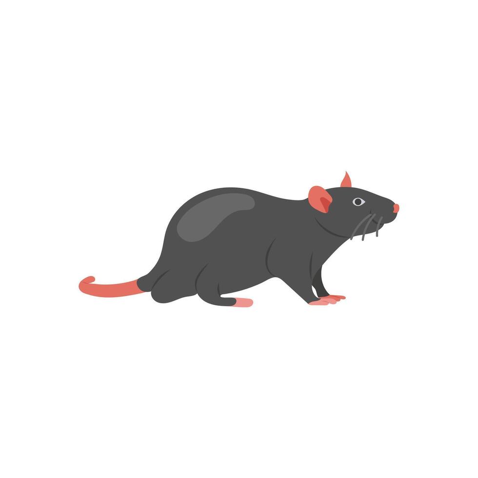Rat Zodiac, China Symbols Illustration vector