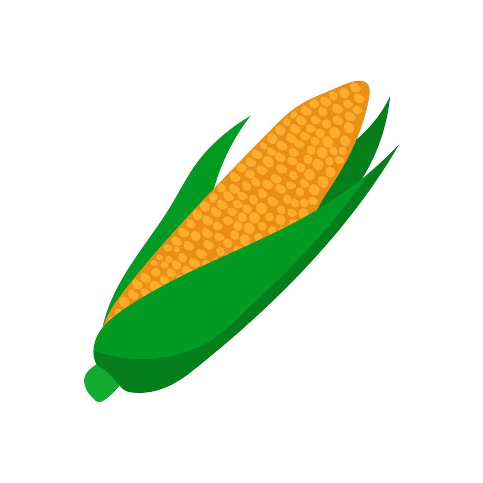 Corn Flat Icon, illustration vector