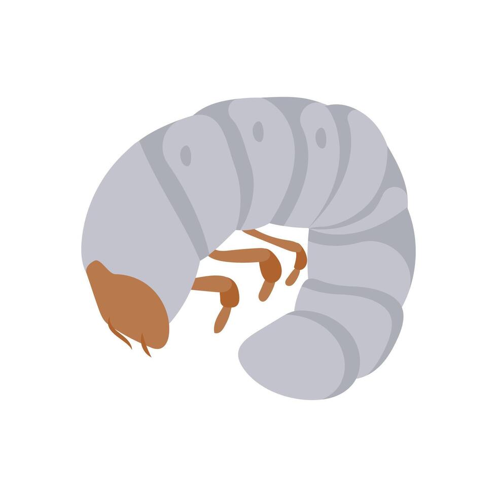 Witchetty Grub, Australia Symbols vector