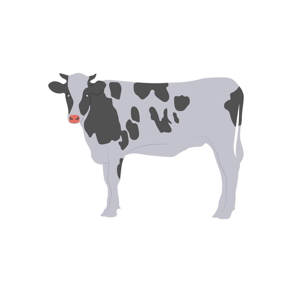 Cow, Farming Illustration vector