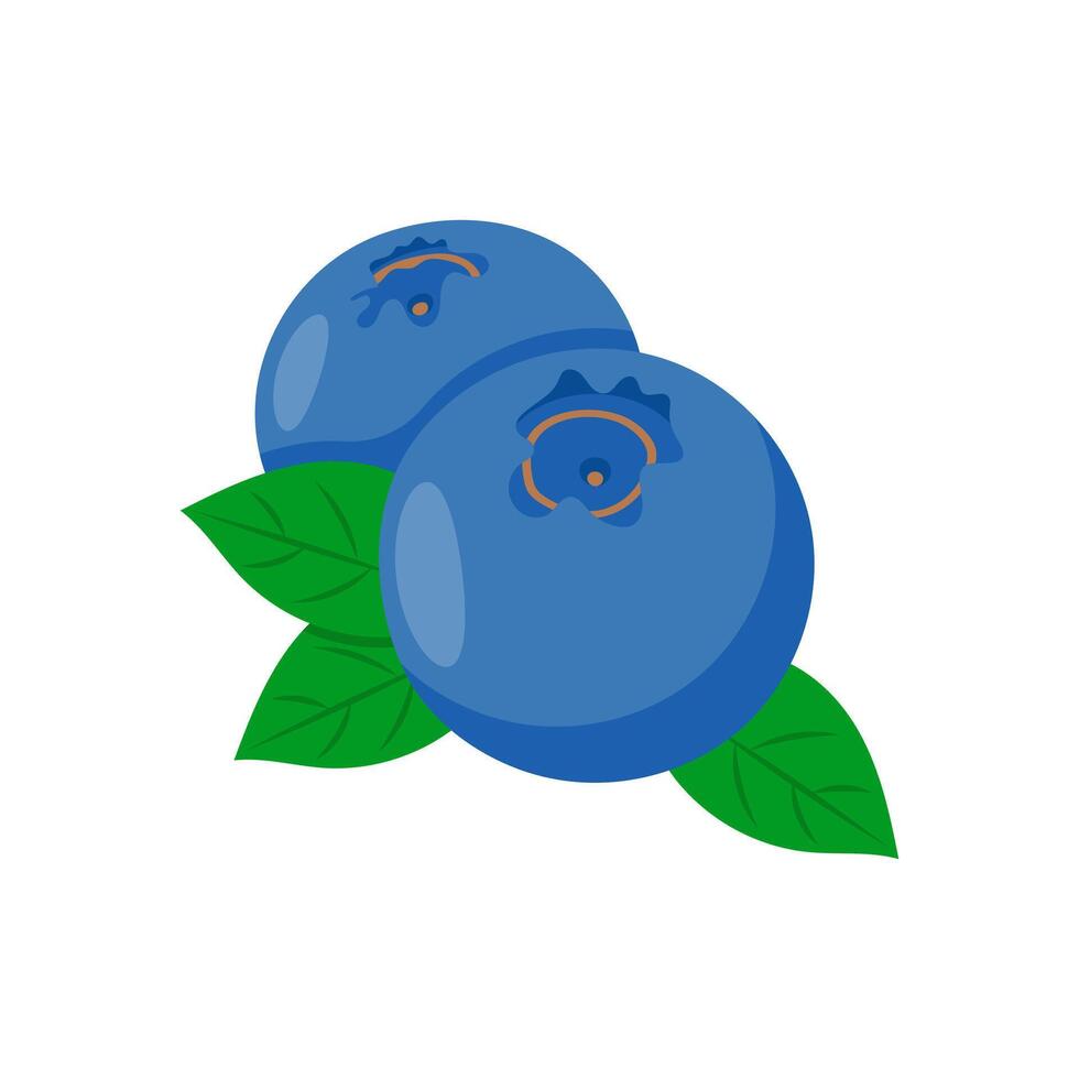 Blue Berries , Autumn illustration vector