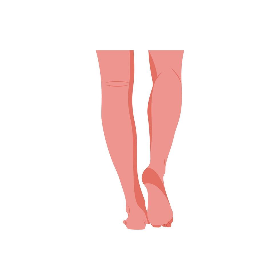 Back Leg, Human Body Part Illustration vector