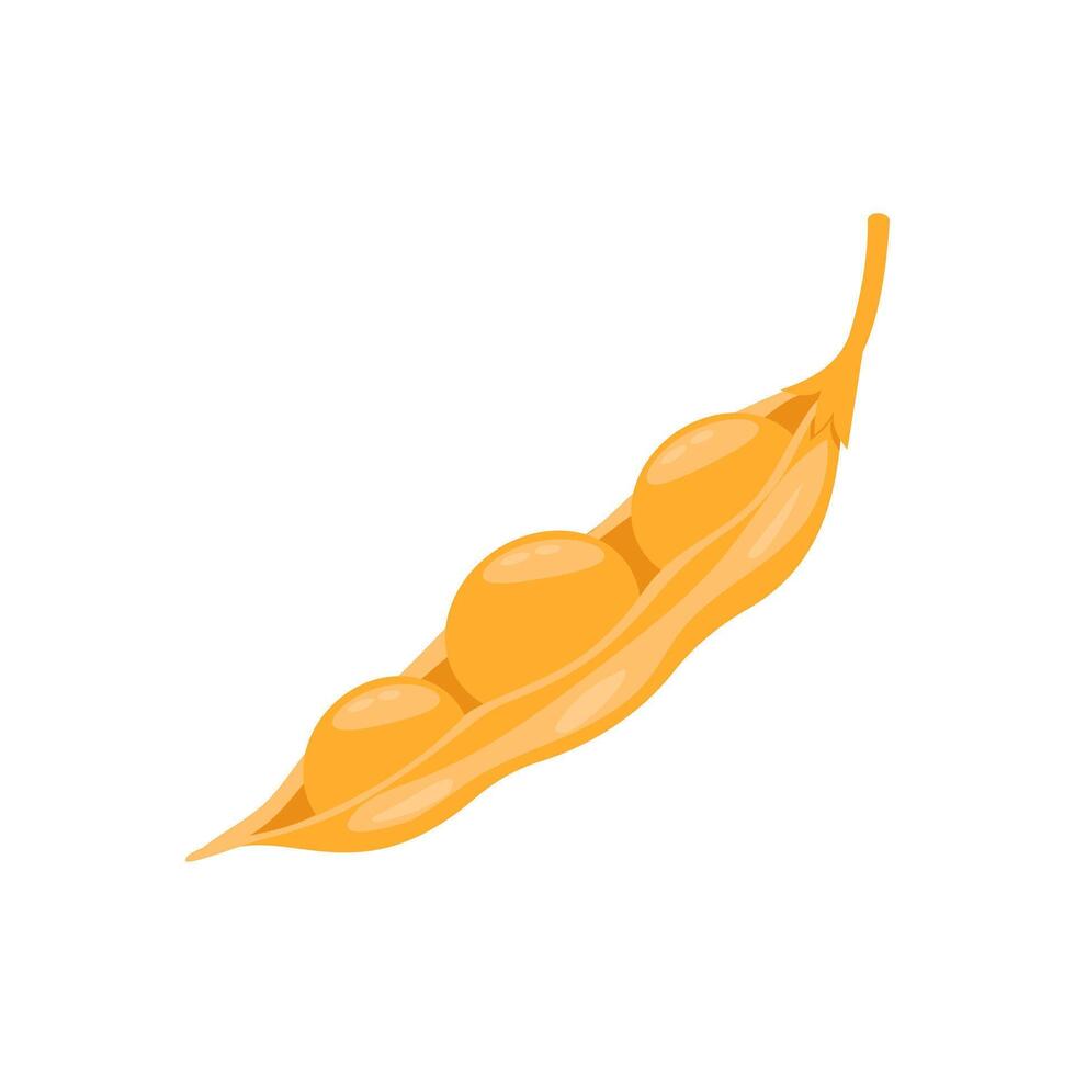 Soybean Flat Icon, illustration vector