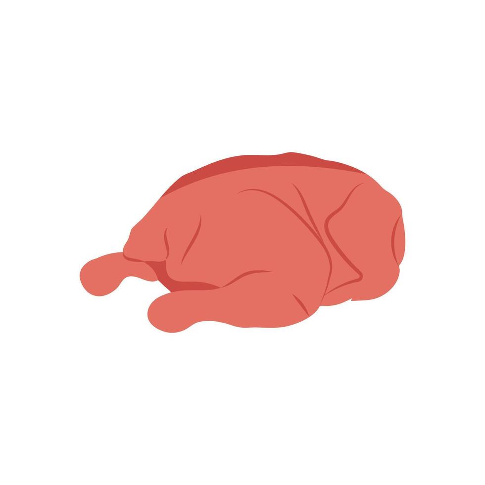 Hen Raw Flat Icon, illustration vector