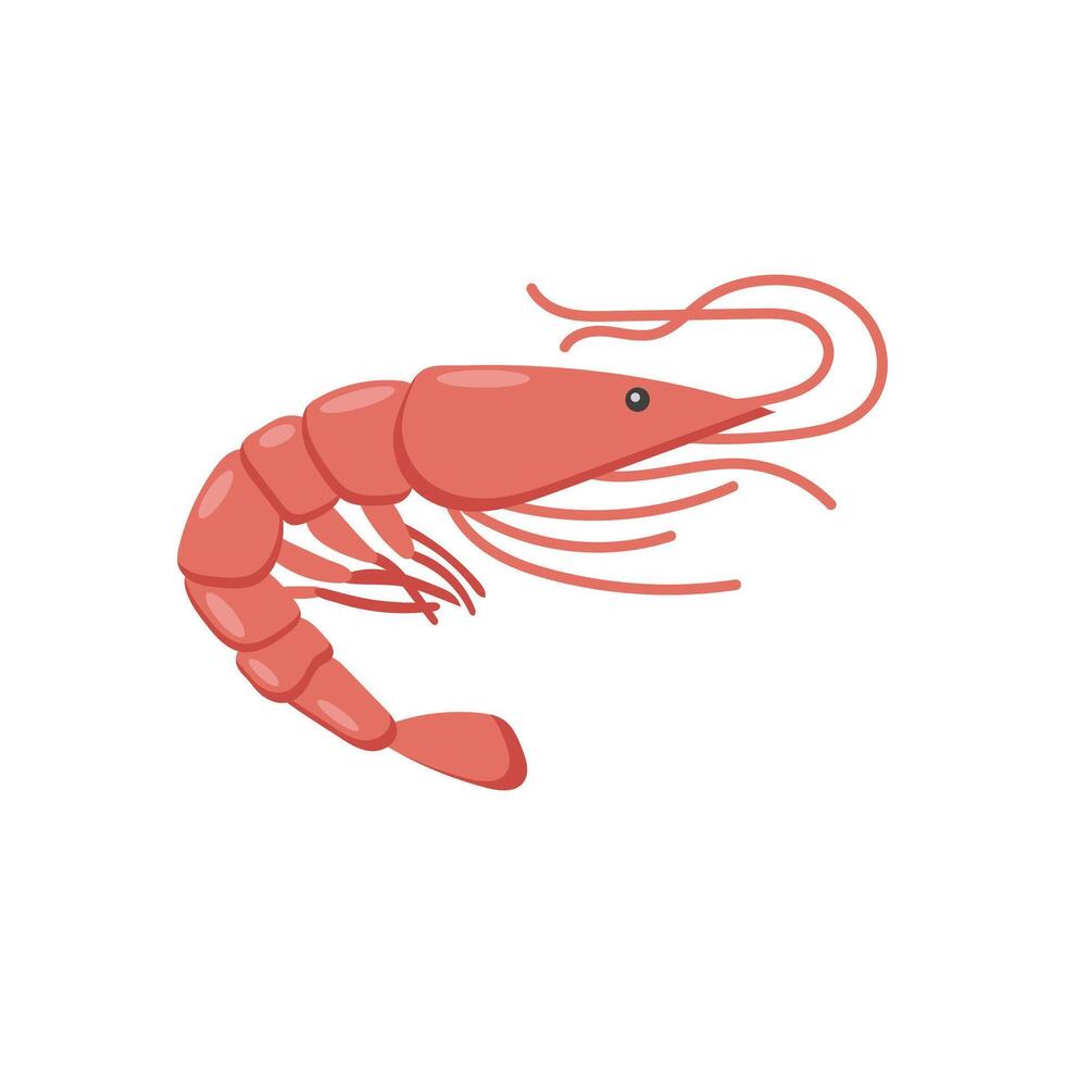 Shrimp, Seafood Illustration vector