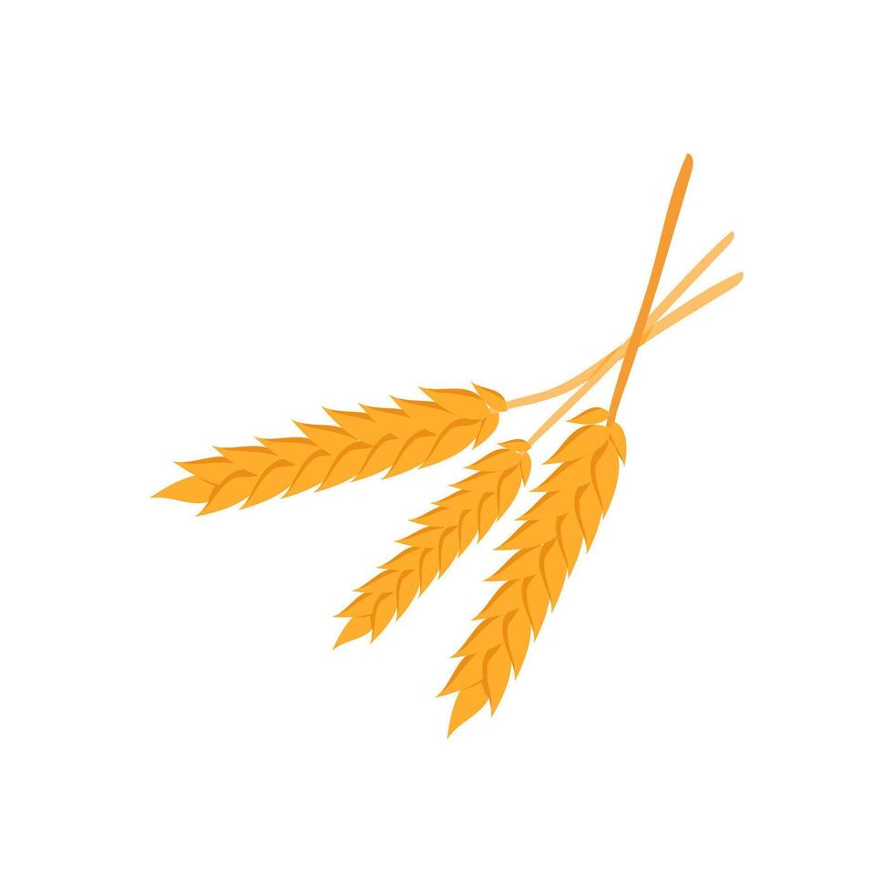 Wheat Flat Icon, illustration vector