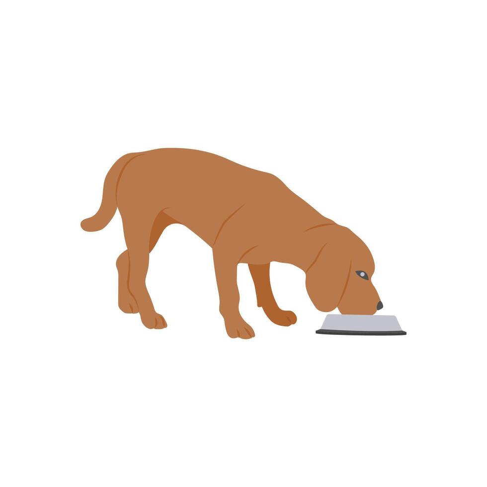 Eating Dog Flat Illustration vector