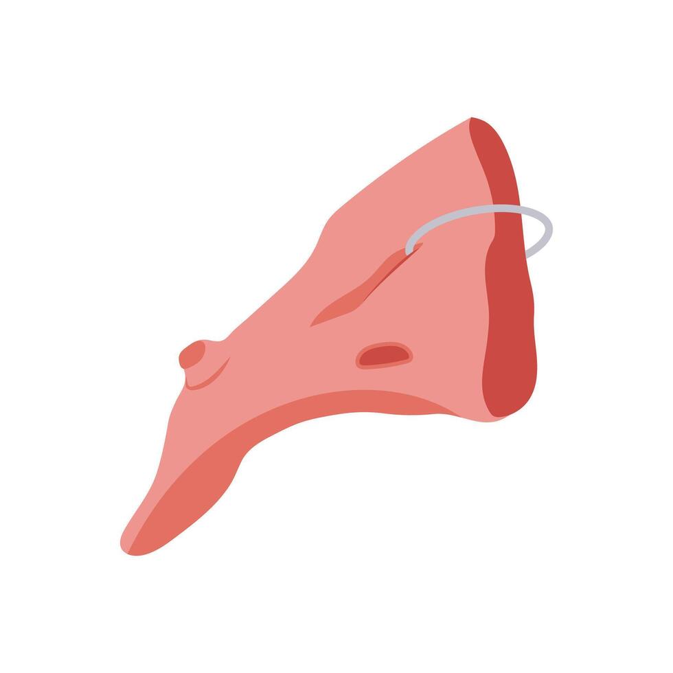 Witch Nose, Halloween Illustration vector