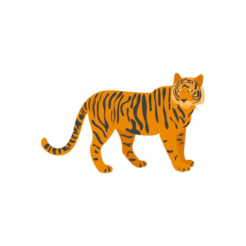Bengal Tiger, Indian Symbol illustration vector