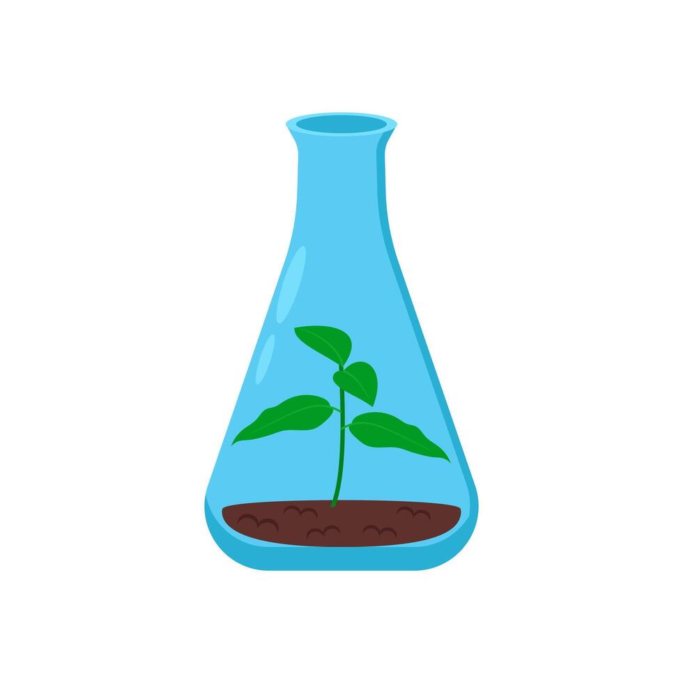 Growing Plant in Flask Flat Icon, illustration vector