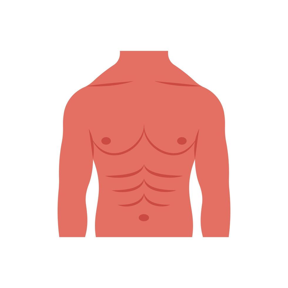 Chest, Human Body Part Illustration vector