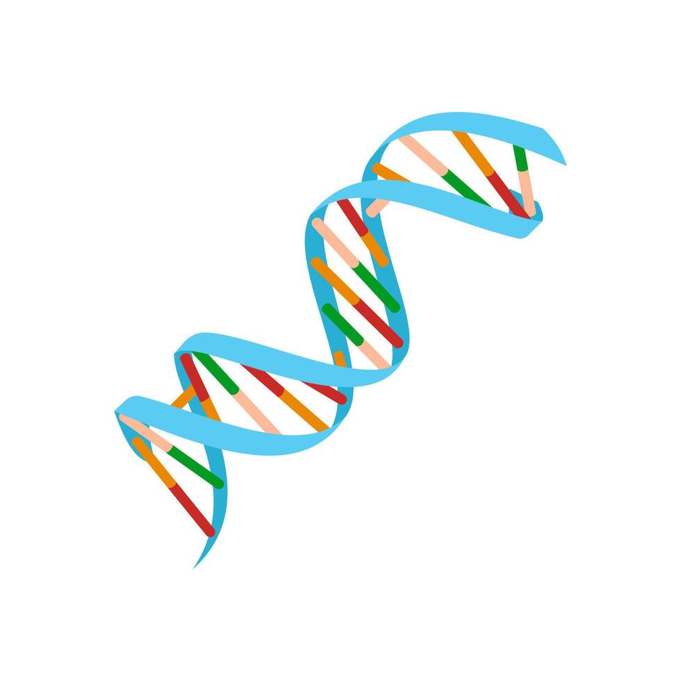 DNA Flat Icon, illustration vector